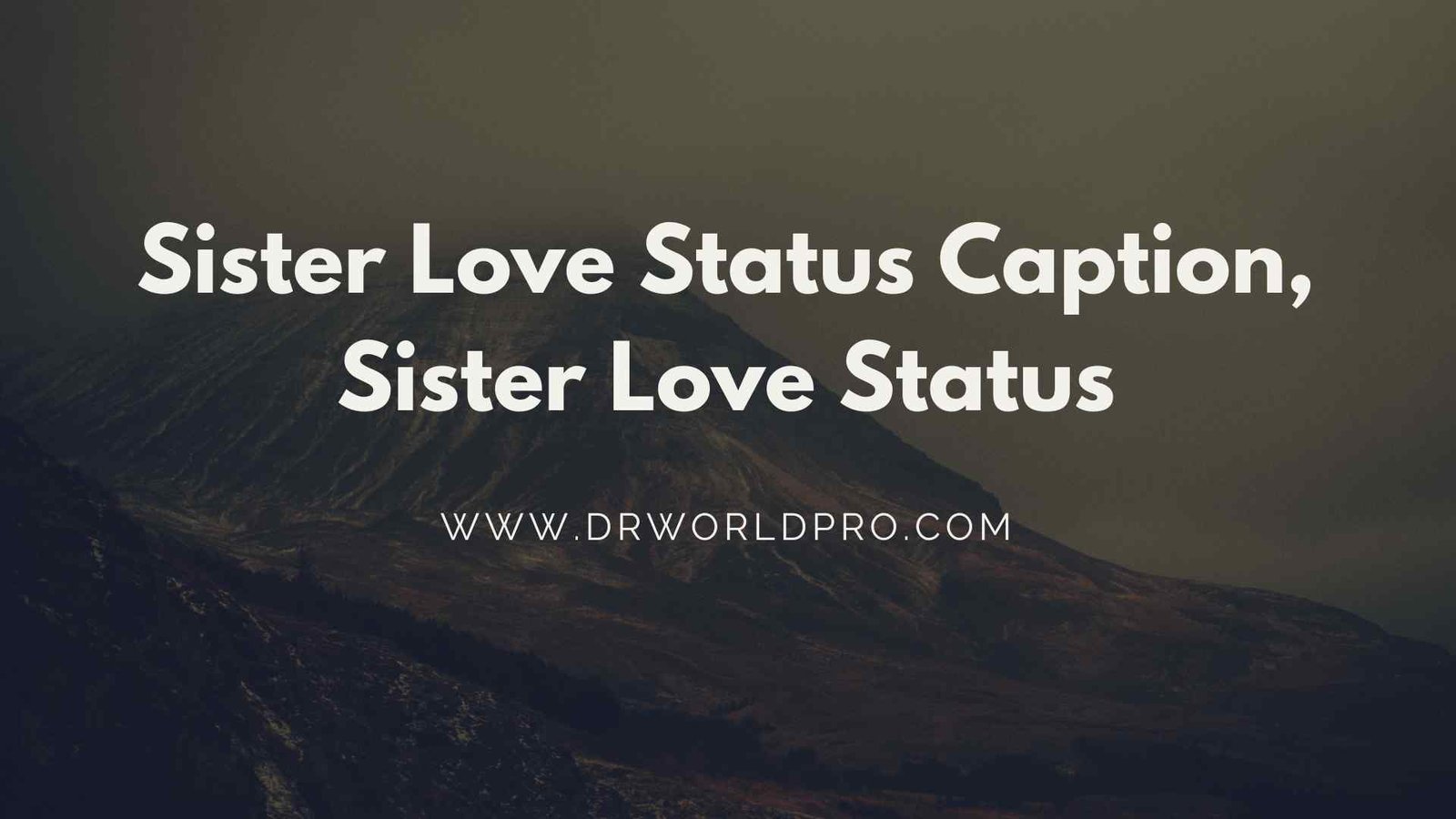 Sister Love Status Caption | Little Sister Love Status