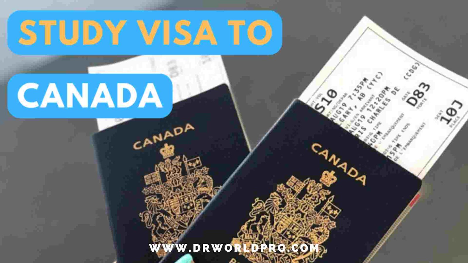 Read more about the article Everything You Need to Know About Applying for a Study Visa to Canada