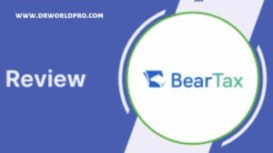 Beartax : How do I use Beartax in 2023