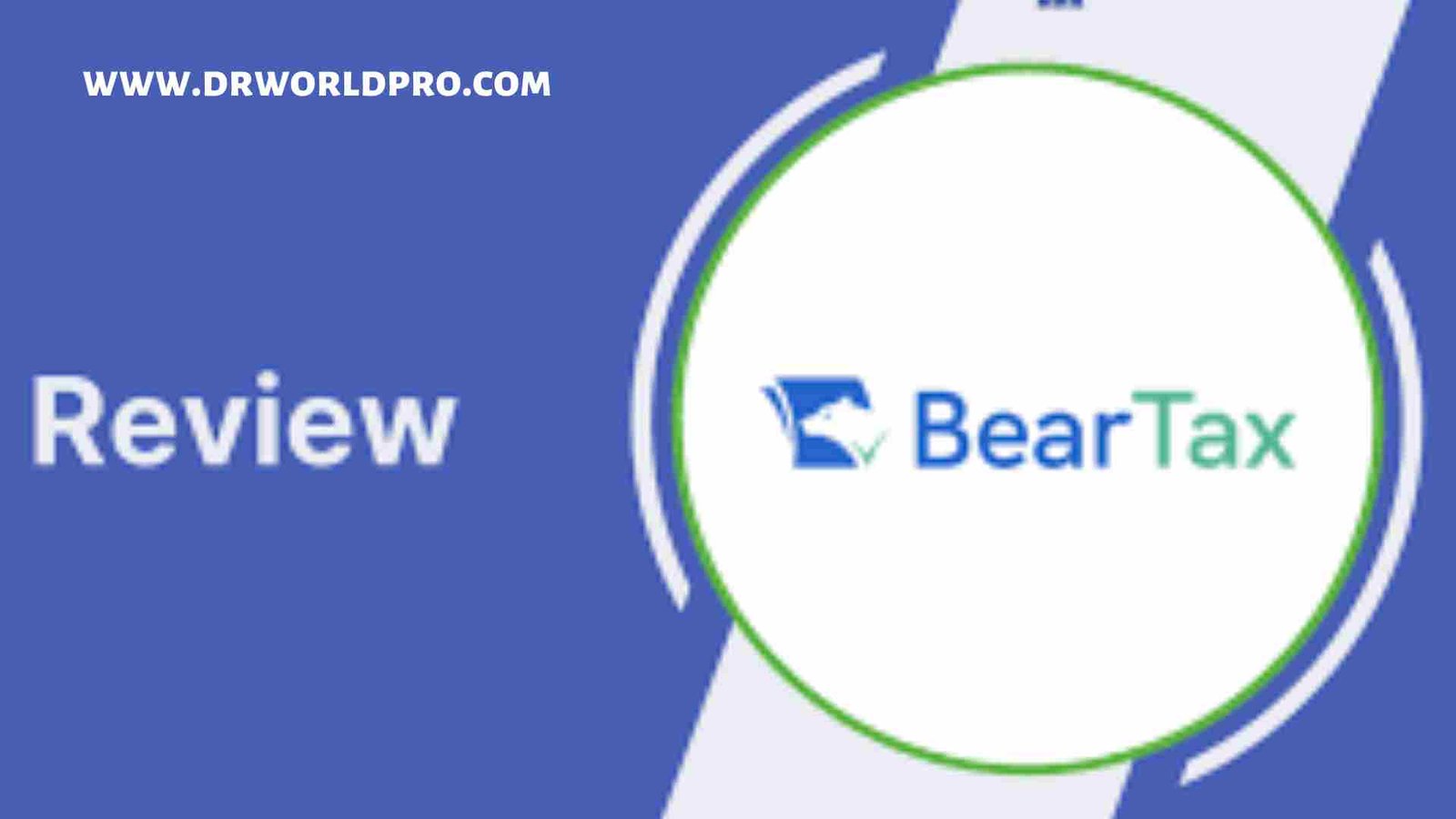Read more about the article Beartax : How do I use Beartax in 2023