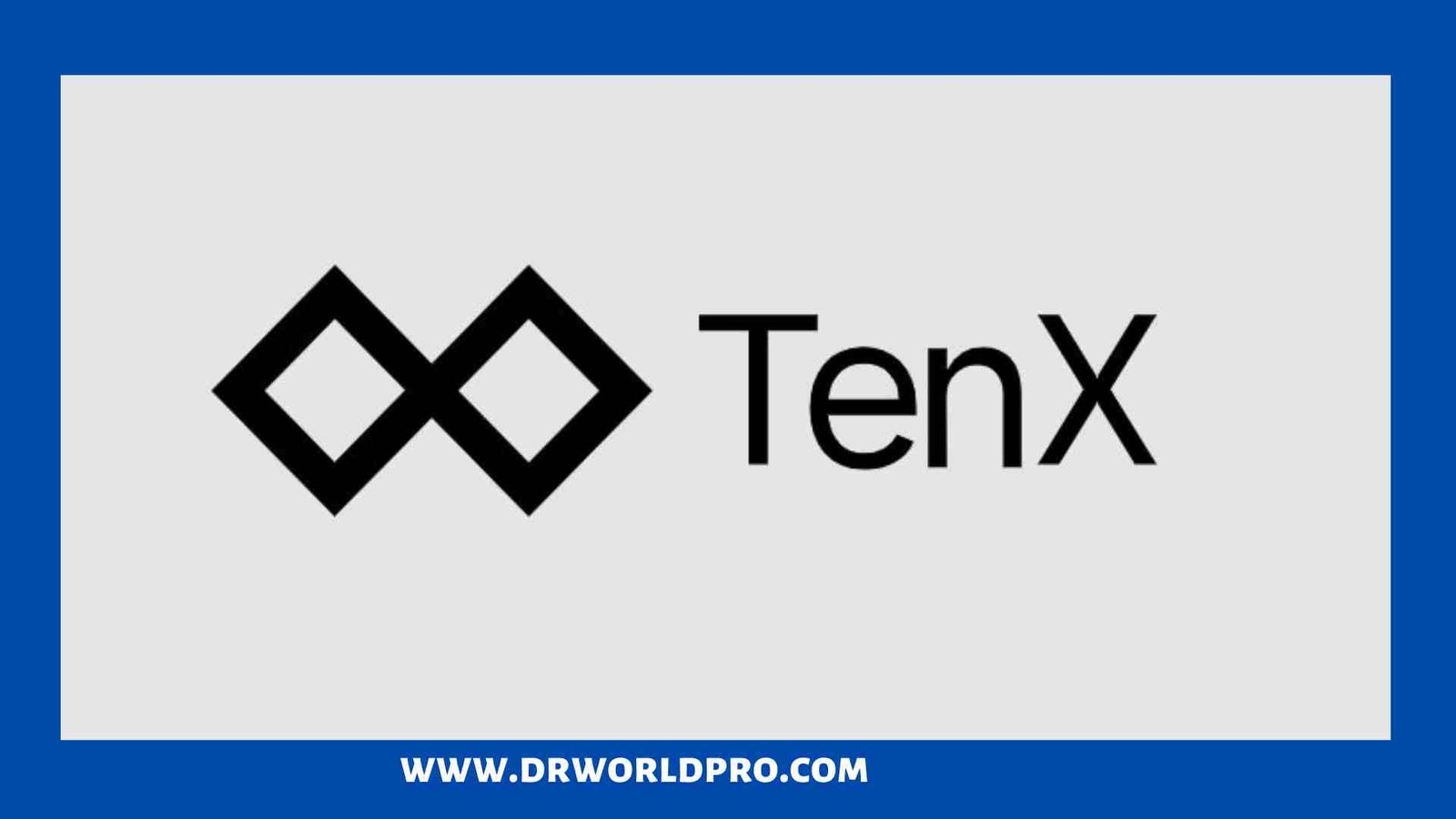 Read more about the article Tenx Review : Facts you need to know